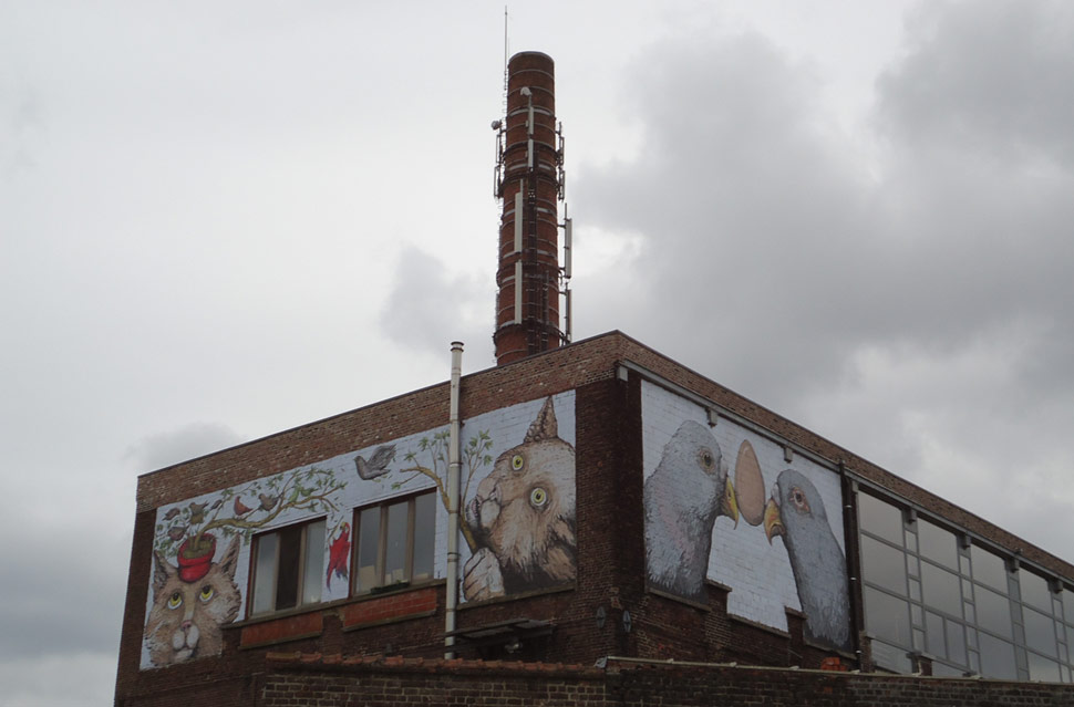 ericailcane | gent | belgium