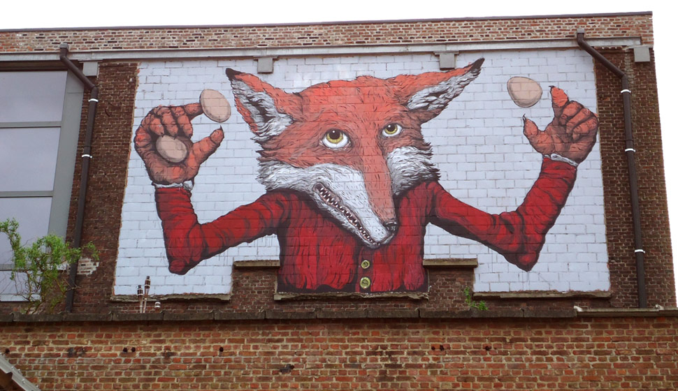 ericailcane | gent | fox | belgium