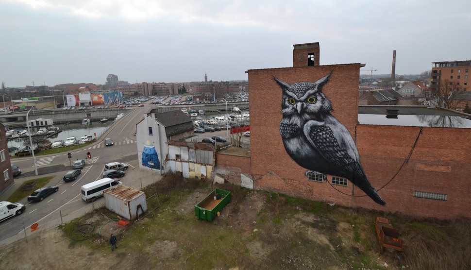 roa | resto | owl | hasselt | belgium