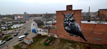 roa | resto | owl | hasselt | belgium (20 votes)