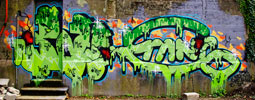 pow | erans | green | bordeaux (43 votes)