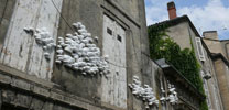 truth | 3-d | bordeaux (1 vote)