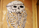 medo | dementia | skull | saopaulo | brazil (14 votes)