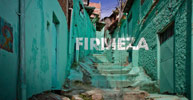 boamistura | green | brasilandia | saopaulo | brazil (26 votes)