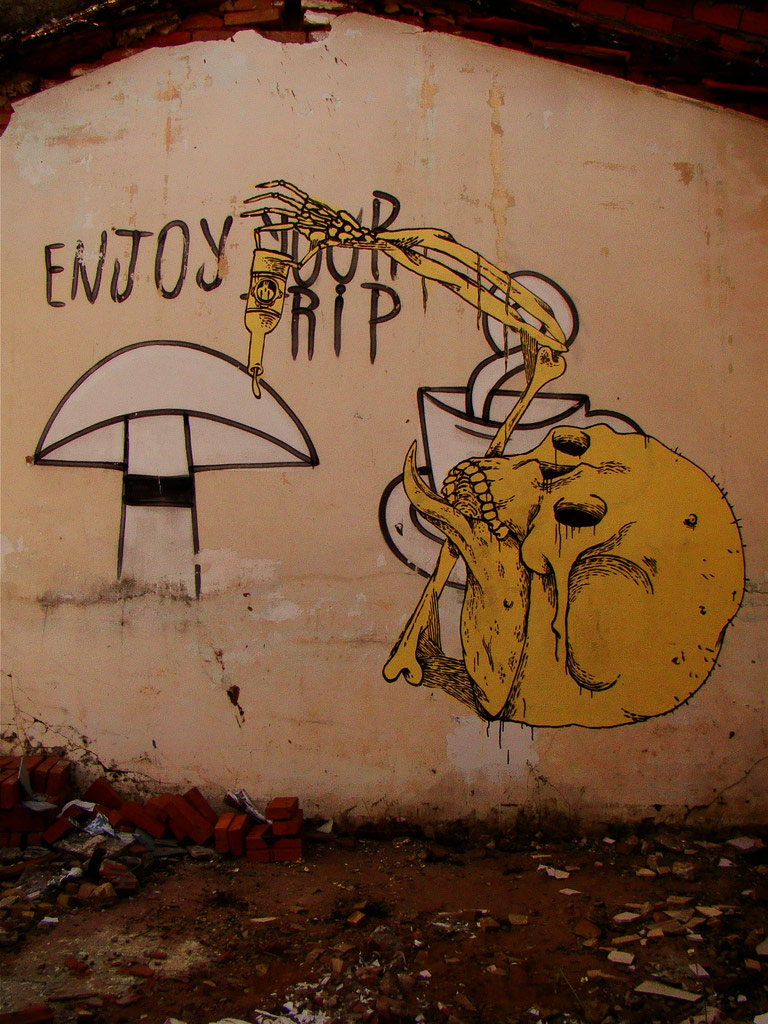 dementia | skull | brazil