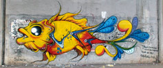 dodo153 | fish | brazil (19 votes)