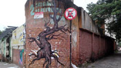 dodo153 | tree | brazil (20 votes)
