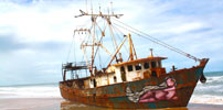 sinha | boat | brazil (18 votes)