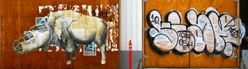 jesse-hazelip | siar | sanfrancisco | california (18 votes)