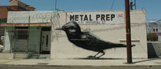 roa | bird | losangeles | california (16 votes)