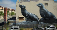 roa | sanfrancisco | california (20 votes)