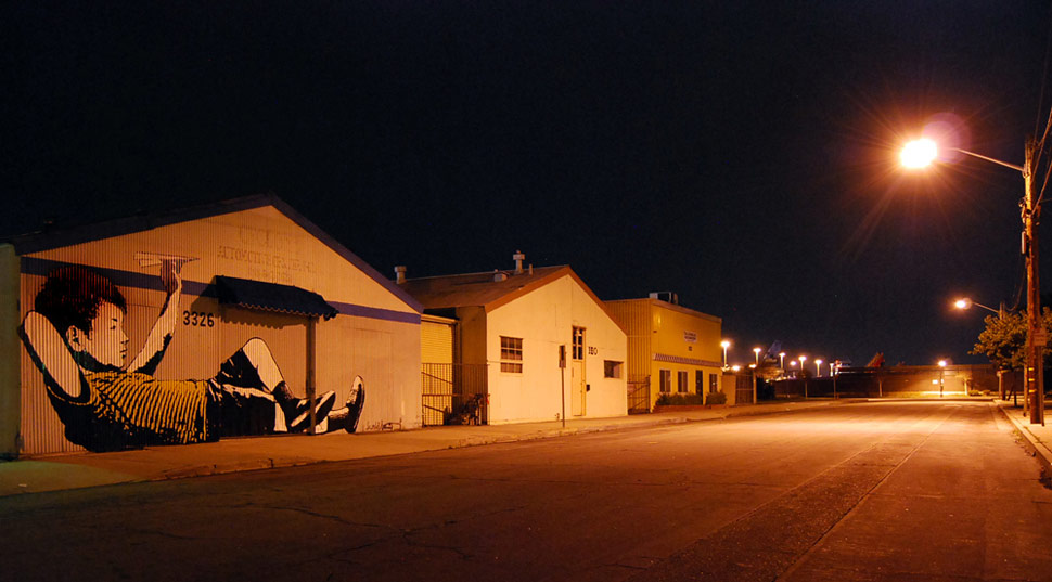 bumblebee | night | california