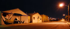 bumblebee | night | california (15 votes)