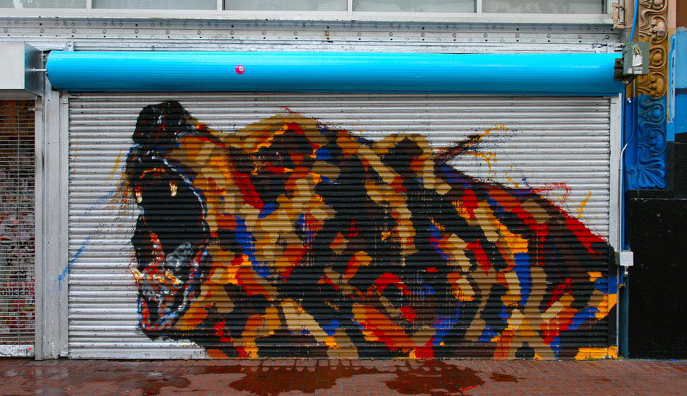it-s-me | bear | sanfrancisco | shutters | california