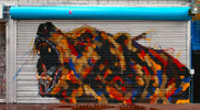 it-s-me | bear | sanfrancisco | shutters | california (30 votes)