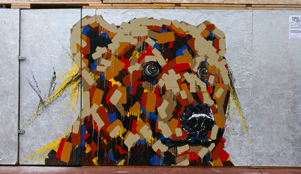 it-s-me | bear | sanfrancisco | california