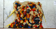 it-s-me | bear | sanfrancisco | california (32 votes)