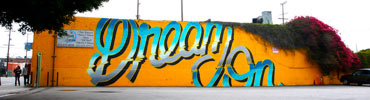 ripo | losangeles | california (26 votes)
