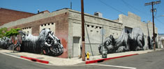 roa | losangeles | california (20 votes)