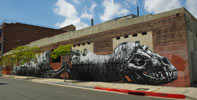 roa | losangeles | california (19 votes)