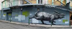 roa | rabbit | sanfrancisco | california (30 votes)