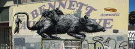 roa | sanfrancisco | rat | california (17 votes)
