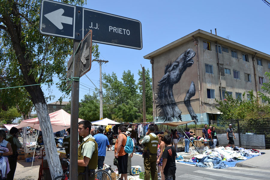 roa | horse | santiago | chile