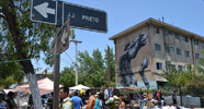 roa | horse | santiago | chile (5 votes)
