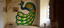 chase | bird | prague | czech-republic (23 votes)