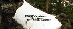 chase | text-message | snow | czech-republic (19 votes)