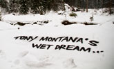chase | text-message | snow | moviestar | czech-republic (16 votes)