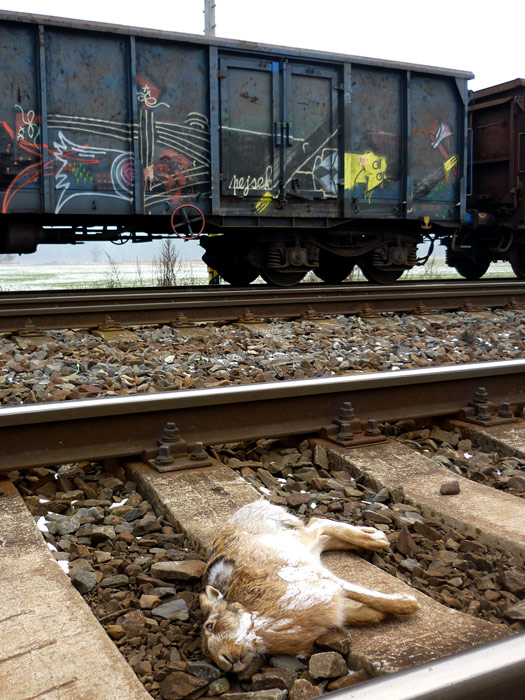 ryk | freight | czech-republic