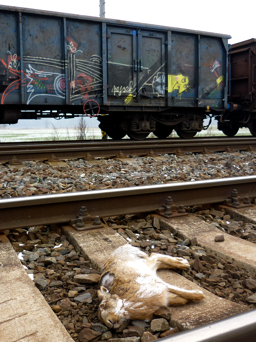 ryk | freight | czech-republic