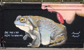manuel-murel | frog | big | wien | austria | europe (16 votes)