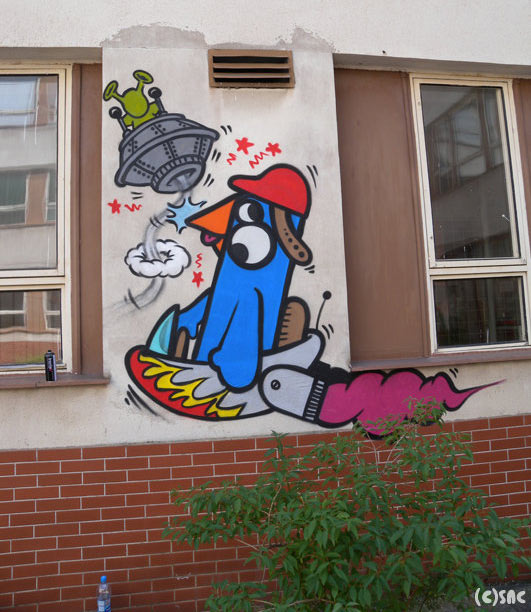 jace | birdybrain | slovakia | europe