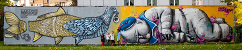 knarf | fresh-max | linz | austria | europe (29 votes)