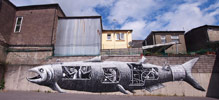phlegm | fish | ireland | europe (8 votes)