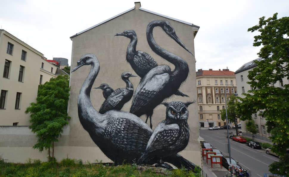 roa | bird | big | wien | austria | europe