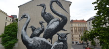 roa | bird | big | wien | austria | europe (16 votes)