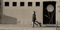 slow | bird | europe (17 votes)