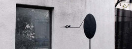 slow | bird | europe (21 votes)