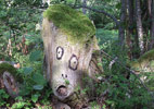 dav | tree | contextual-face | ariege | france (13 votes)