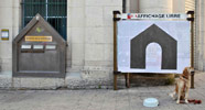 ox- | angers | france (1 vote)
