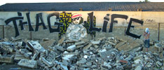 vh-crew | rennes | france (36 votes)
