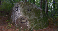 dav | contextual-face | france (13 votes)
