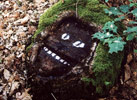 dav | contextual-face | tree | france (16 votes)