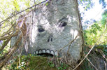 dav | contextual-face | tree | france (16 votes)