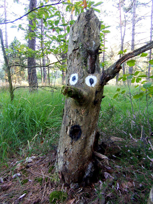 dav | contextual-face | tree | france