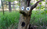 dav | contextual-face | tree | france (13 votes)