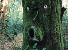 dav | contextual-face | tree | france (19 votes)